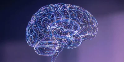 Modelo tridimensional do cérebro humano com iluminação de fibras nervosas, representando estudos sobre inteligência e doenças
