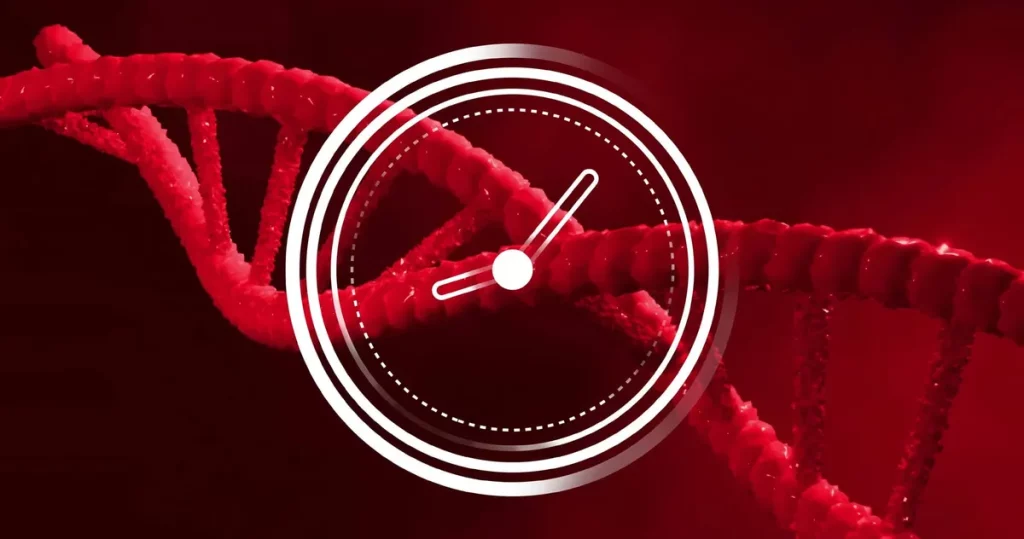 Ilustração de uma estrutura de DNA com relógio sobreposto, simbolizando o relógio biológico. (Foto: olhardigital.com.br)