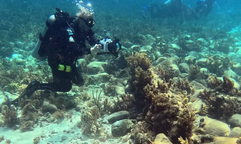 Arqueólogos realizam mergulho para documentar naufrágios no fundo do mar nas Bahamas. (Foto: theartnewspaper.com)