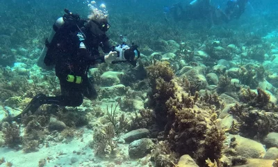Arqueólogos realizam mergulho para documentar naufrágios no fundo do mar nas Bahamas. (Foto: theartnewspaper.com)