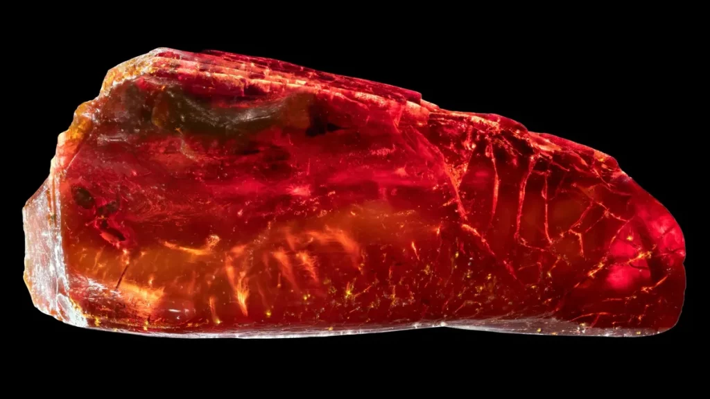 Amostra de âmbar com inseto fossilizado, revelando antiga formação geológica. (Foto: sciencedaily.com)