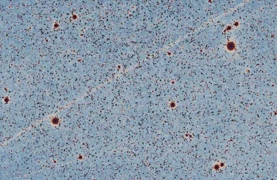 Imagem cósmica captada pelo telescópio SPHEREx, mostrando pontos estelares e trilhas de satélites artificiais. (Foto: thedebr