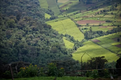 Paisagem de terras agrícolas e floresta em uma região montanhosa. (Foto: phys.org)