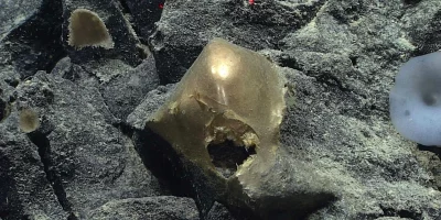 Esfera dourada encontrada em fundo oceânico rochoso, objeto de estudo científico. (Foto: popularmechanics.com)