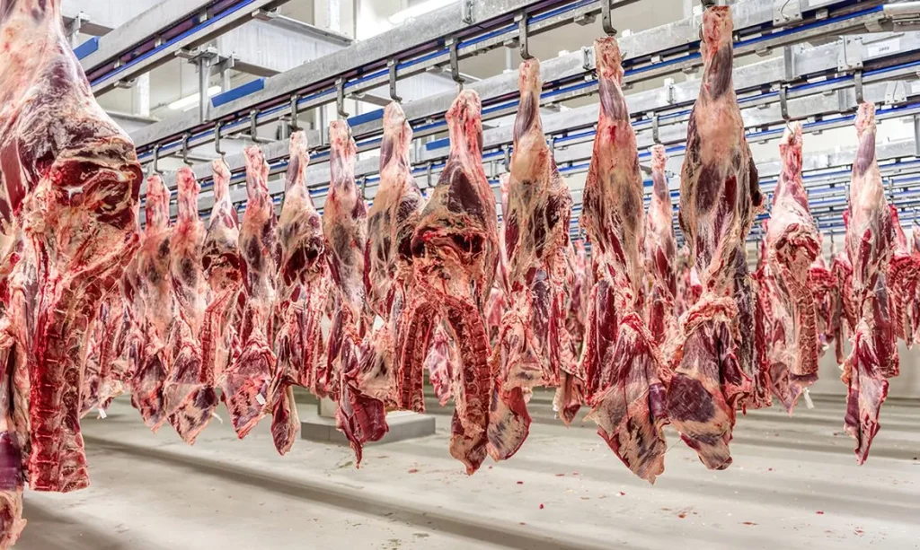Carcaças de frango em processo de industrialização em frigorífico. (Foto: INFOMONEY.COM.BR)