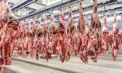 Carcaças de frango em processo de industrialização em frigorífico. (Foto: INFOMONEY.COM.BR)