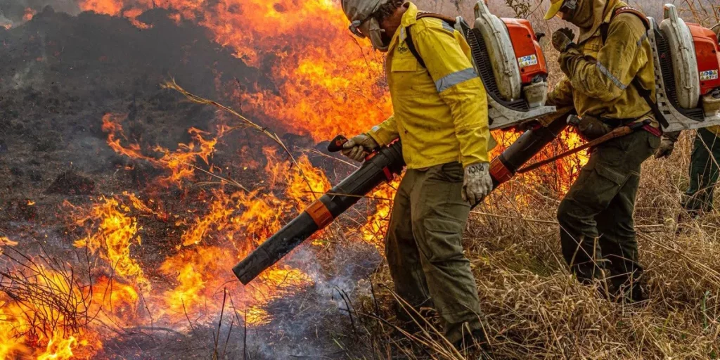 Foto destacada da matéria.