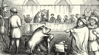 Ilustração de um julgamento medieval com um porco como réu, cercado por figuras em trajes da época. (Foto: www.livescience.co