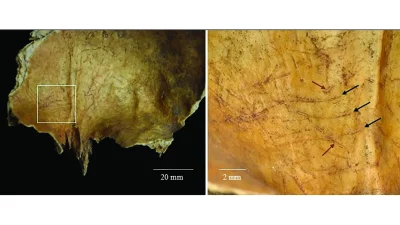 Detalhes de ossos antigos com marcas de corte, evidenciando ritual funerário na Escócia há 2.000 anos. (Foto: livescience.com