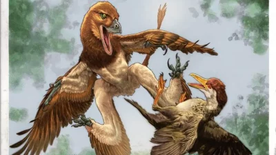 Ilustração de um dinossauro com quatro asas caçando uma ave em meio a floresta. (Foto: livescience.com)